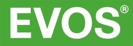 Noventiq в Узбекистане внедрила сервисы Microsoft 365 в инфраструктуру сети быстрого питания Evos